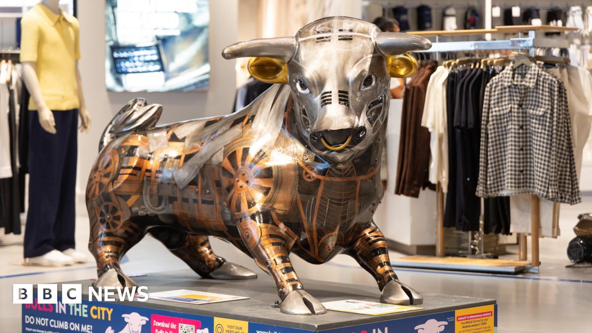 Birmingham Hospice bulls trail raises £241,000