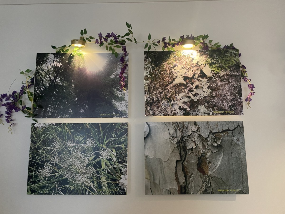 Photography exhibition celebrates nature, confidence, and creativity thanks to Mental Health Investment Fund