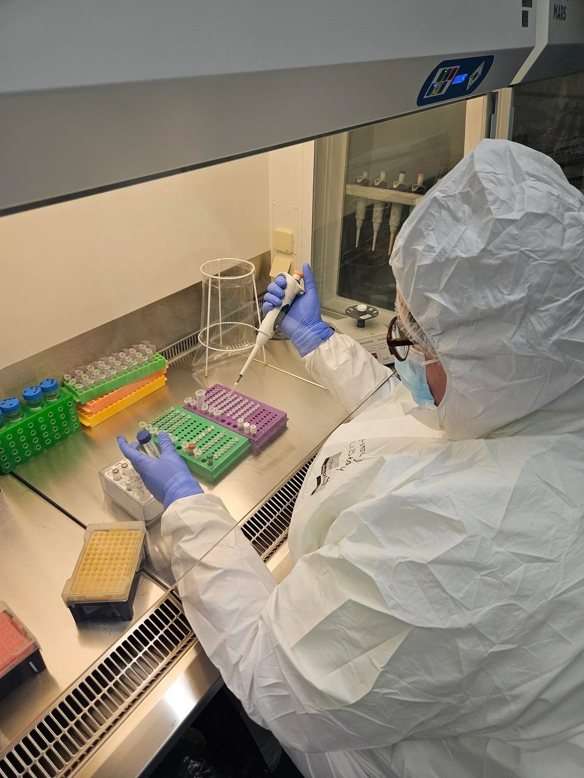 Ancient herpesvirus genomes reveal a 2,500-year history of human infection