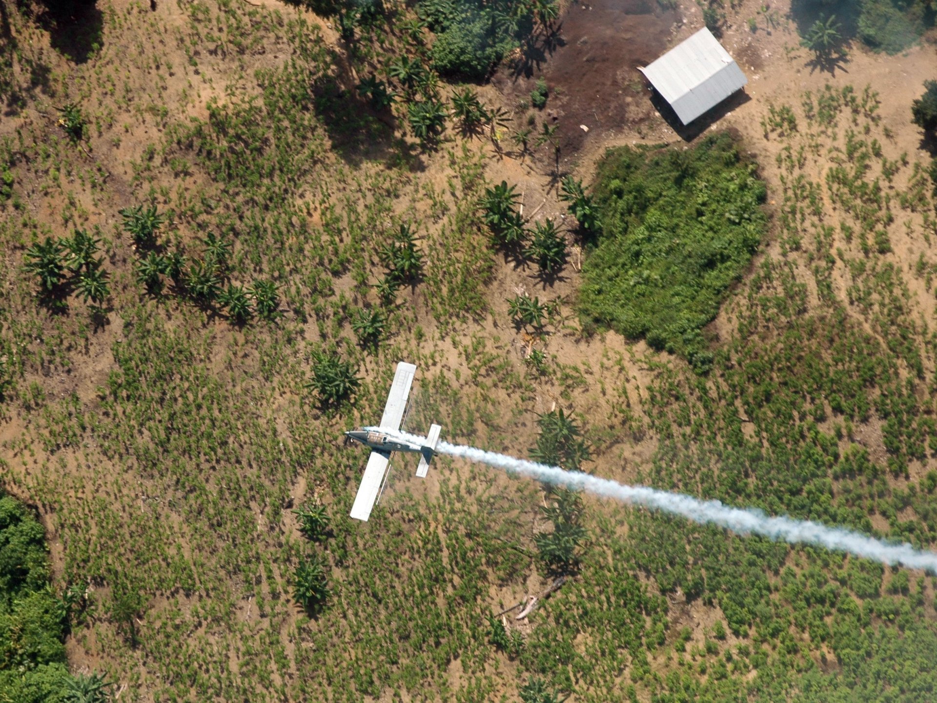 Colombian lawmaker among 15 killed in plane crash near Venezuela | Aviation News