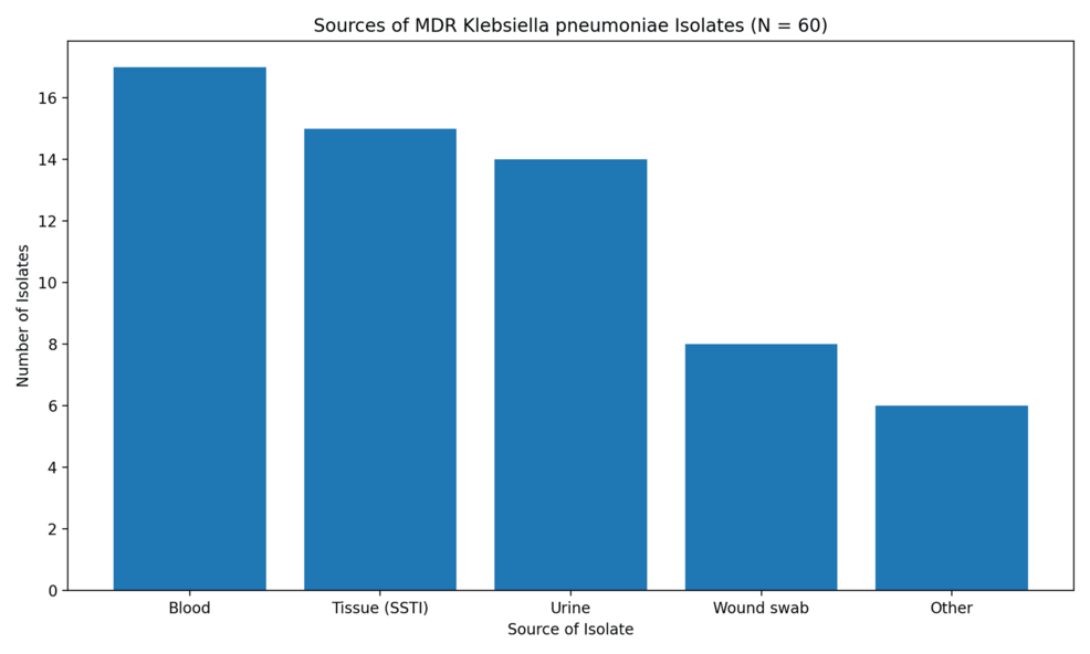 Clinical and Epidemiological Profile of Multidrug-Resistant Klebsiella pneumoniae Infections in Patients With Type 2 Diabetes Mellitus
