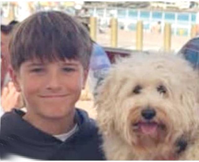 Australian 12-year-old bitten by shark dies