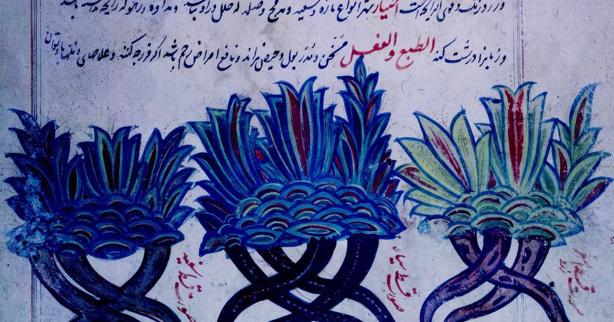 Exhibition programme 2026 – Announcements