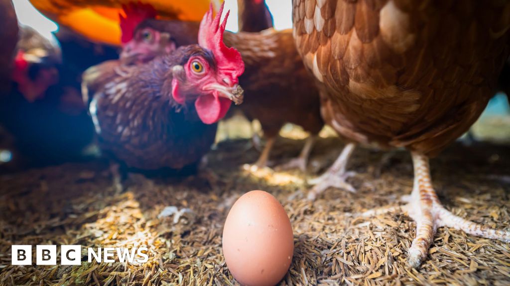 Scots egg producer suffers third bird flu outbreak