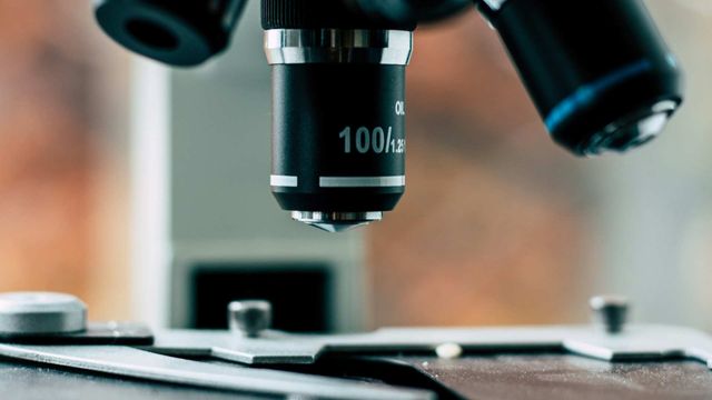 AI Tool Helps Map 3D Cochlear Hair Cells