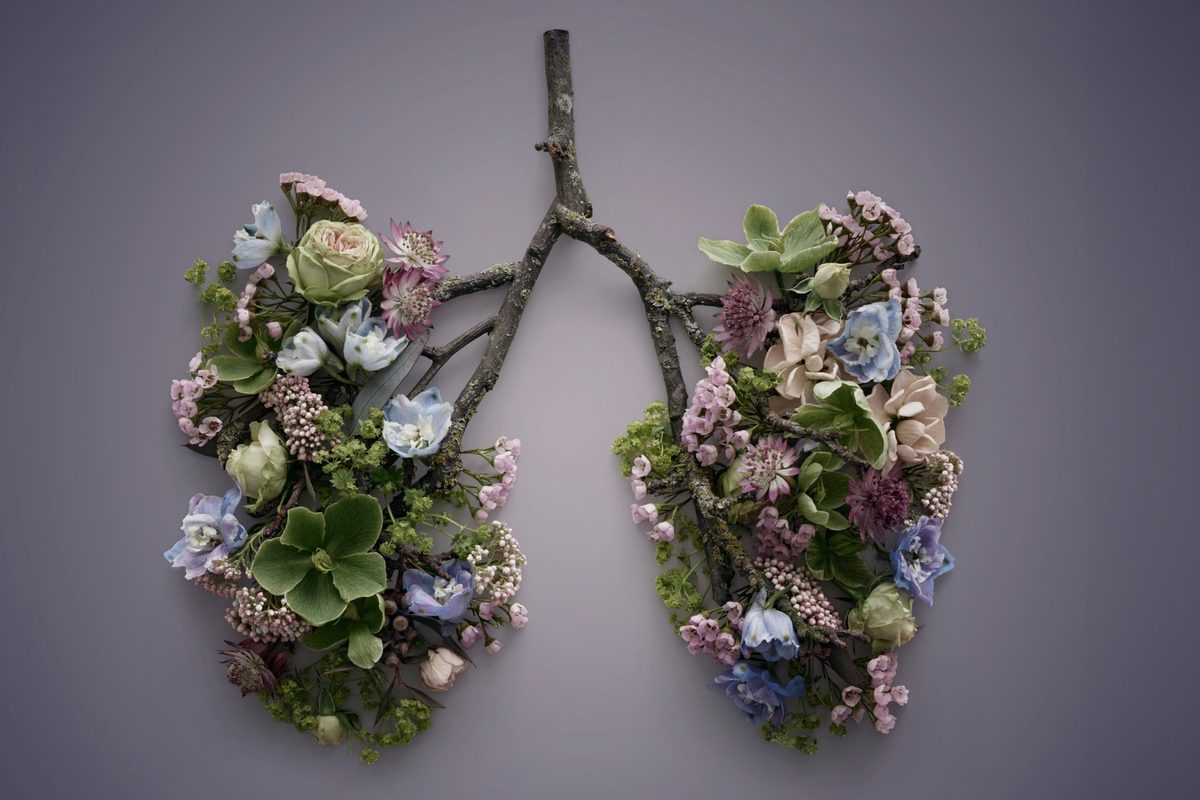 How small changes to the way you breathe can transform your health