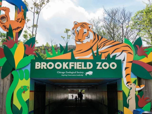 ‘Name a Cockroach after your ex’ returns at Chicago Zoo