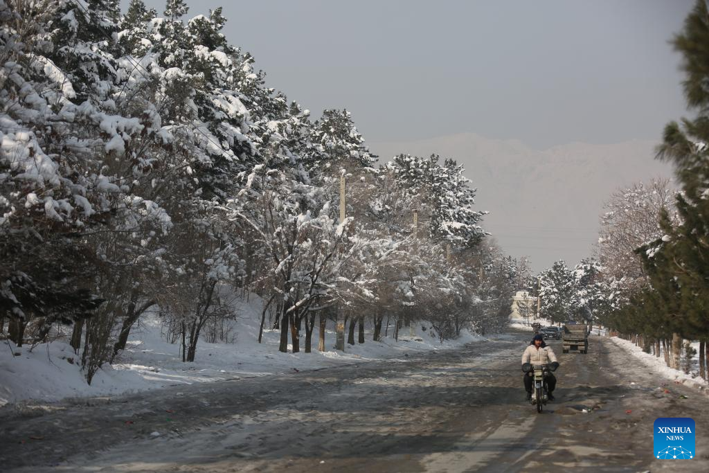 61 killed, 110 injured in heavy snowfall, rains in Afghanistan-Xinhua