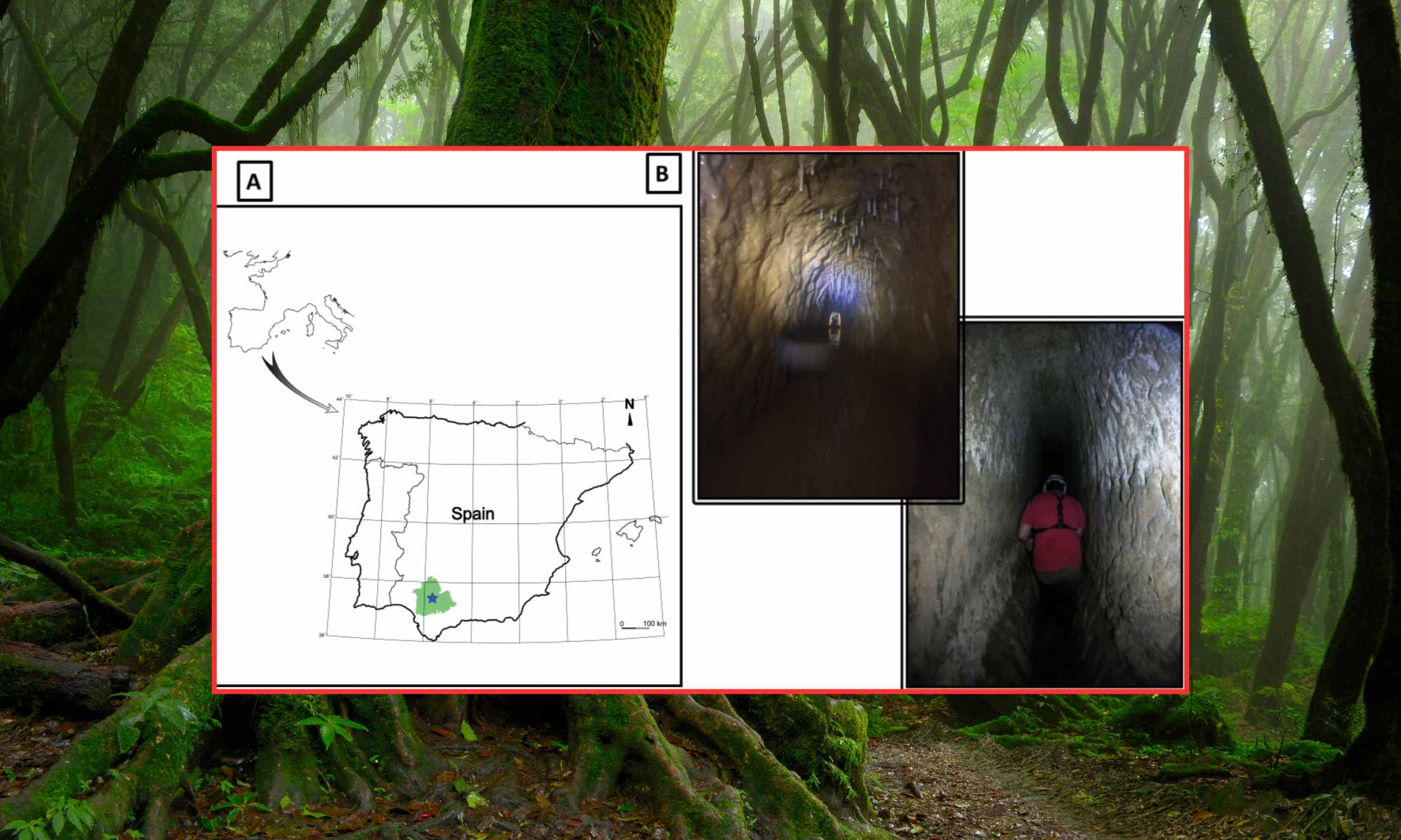 Creature with enormous eyes rediscovered in a Roman mine