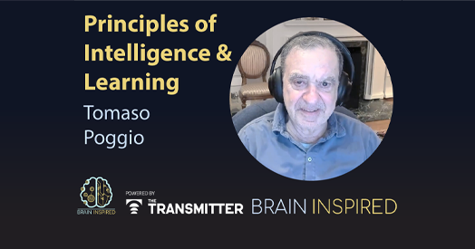 Tomaso Poggio on his quest for theories to explain the fundamental learning abilities of brains and machines