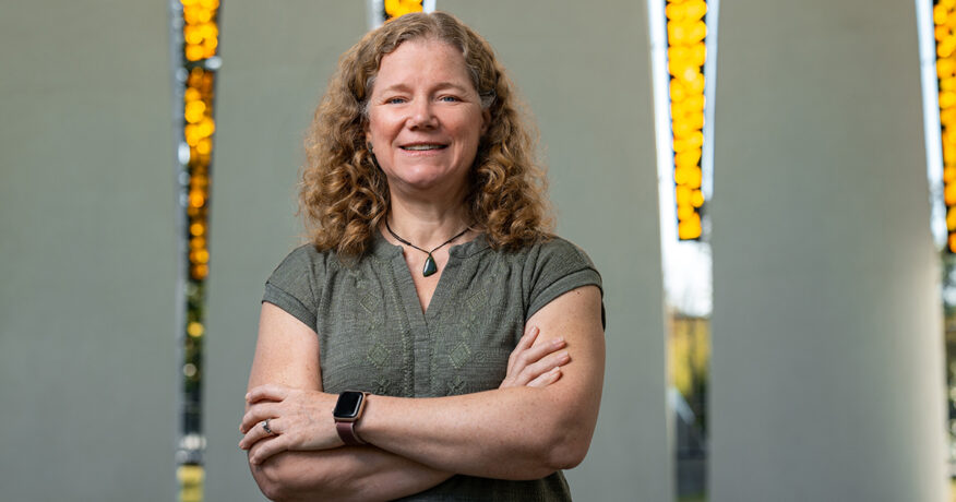 Rocks and rolls: The computational infrastructure of earthquakes and physics of planetary science