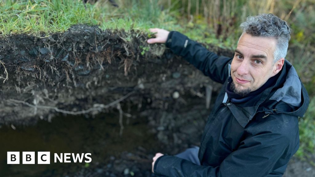 Mount Stewart shows nature bouncing back