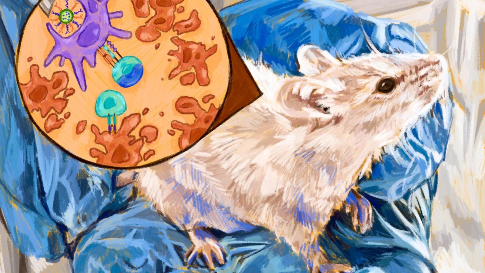 Nanotechnology may be used in targeting tumors, Brown study finds