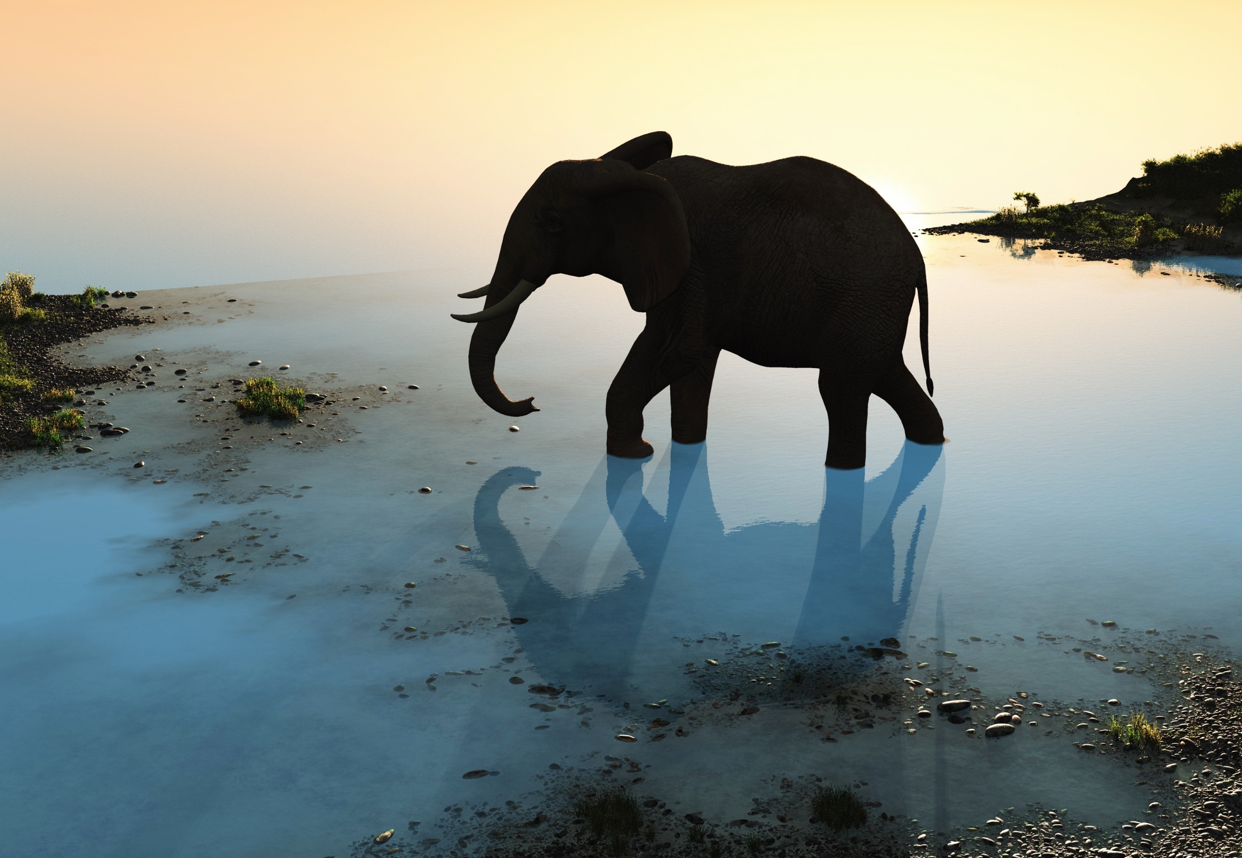 Early humans unlocked a survival strategy by hunting elephants