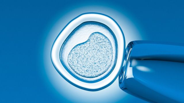 Maternal DNA Linked to Chromosome Errors in IVF Embryos