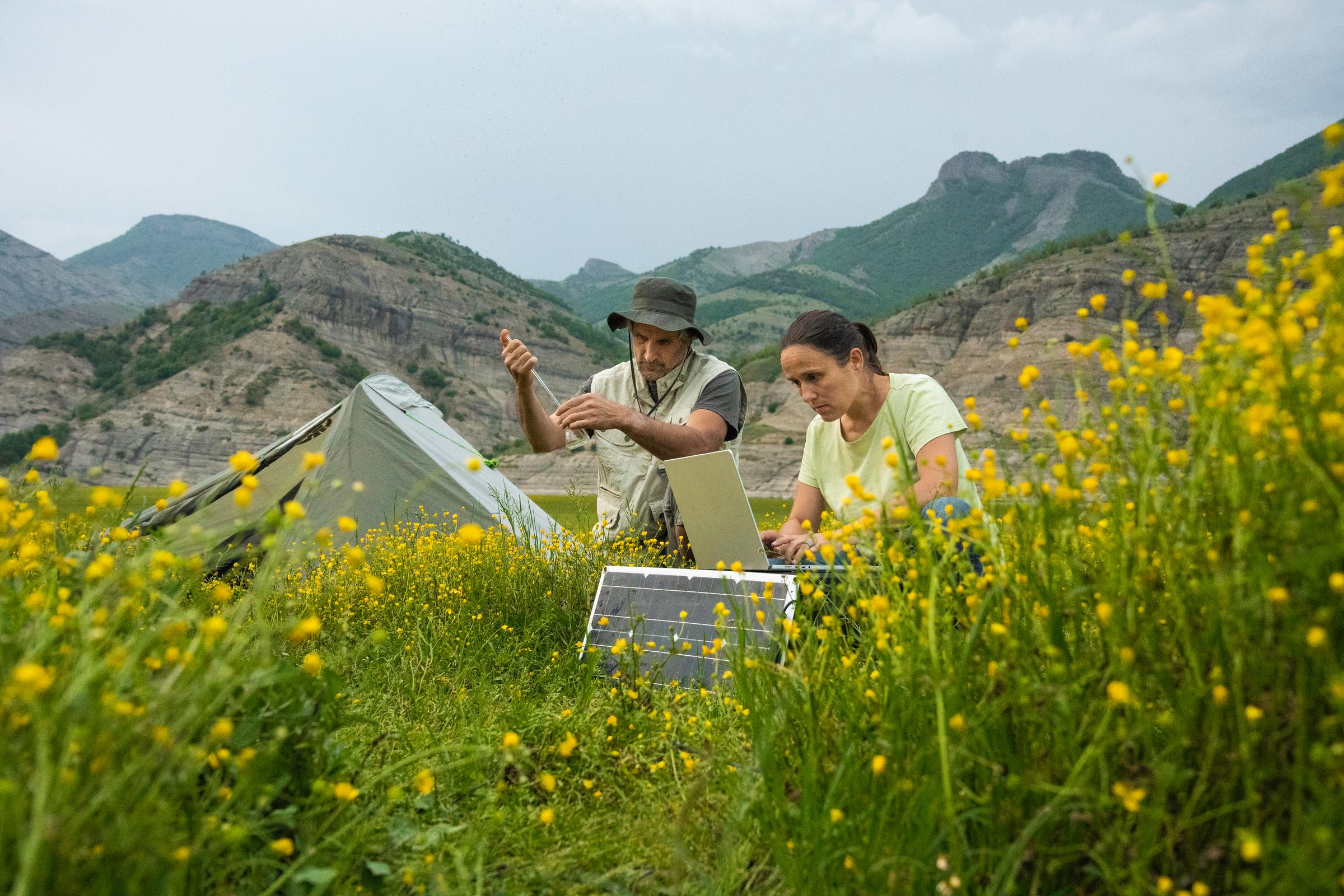Telefónica stands as a global leader in climate management according to the CDP ranking