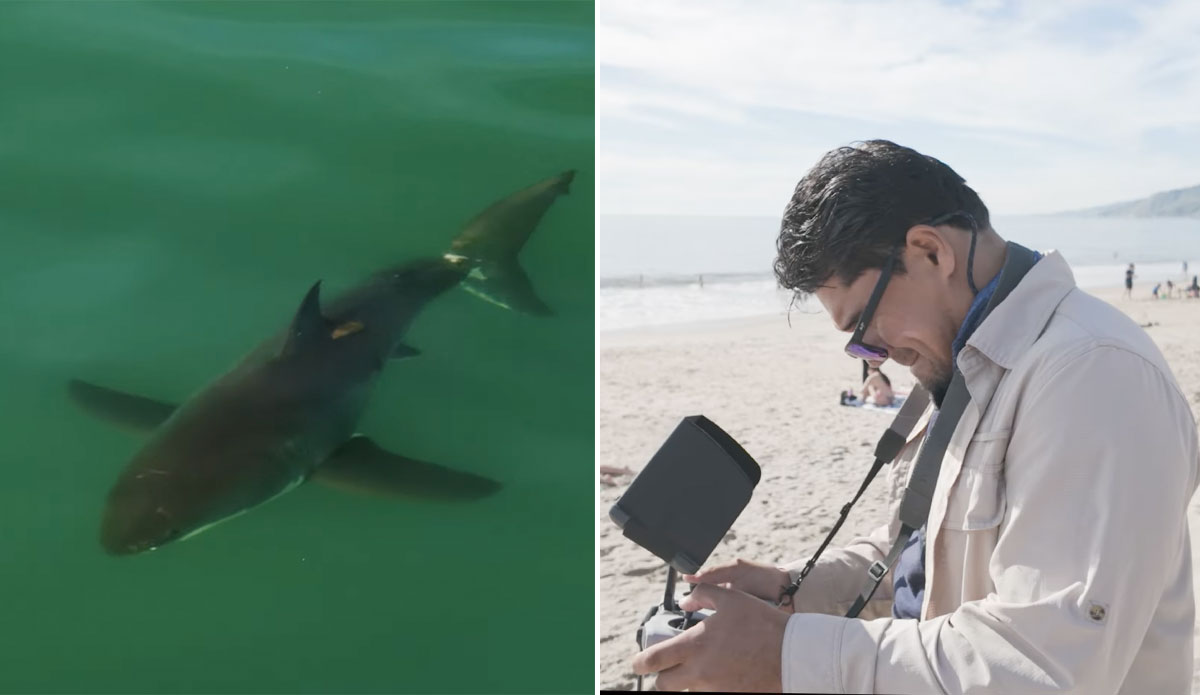 Carlos Gauna Explains Exactly How He Finds Great White Sharks With His Drone