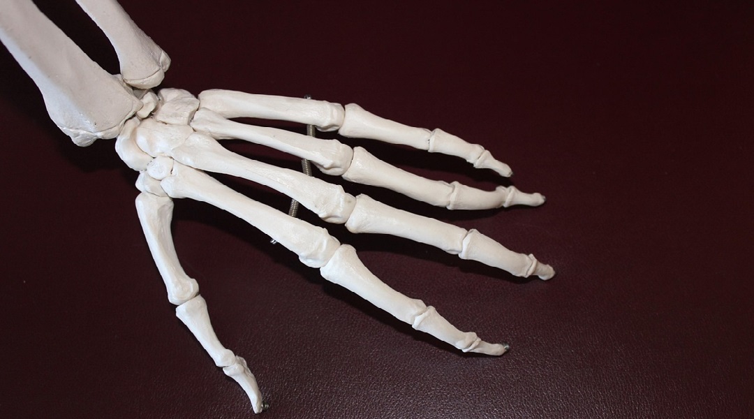 3D printed scaffolds bring artificial bone closer to reality