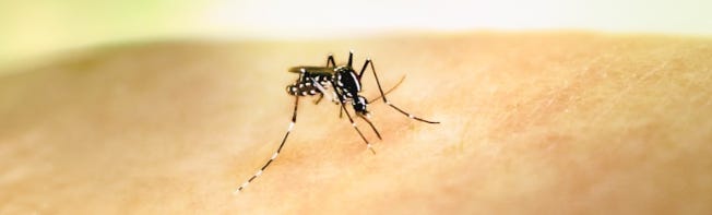 Global chikungunya 2025 – by Robert Herriman
