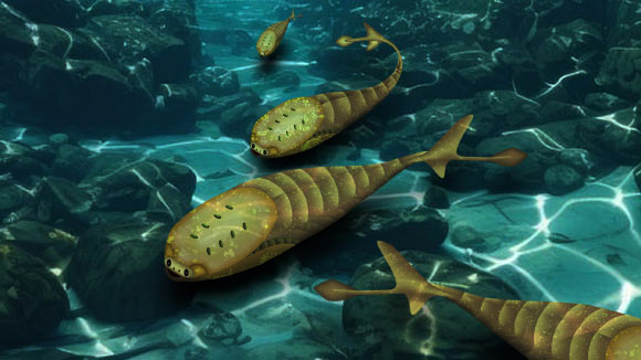 Study: Late Ordovician Mass Extinction Cleared Way for First Fishes