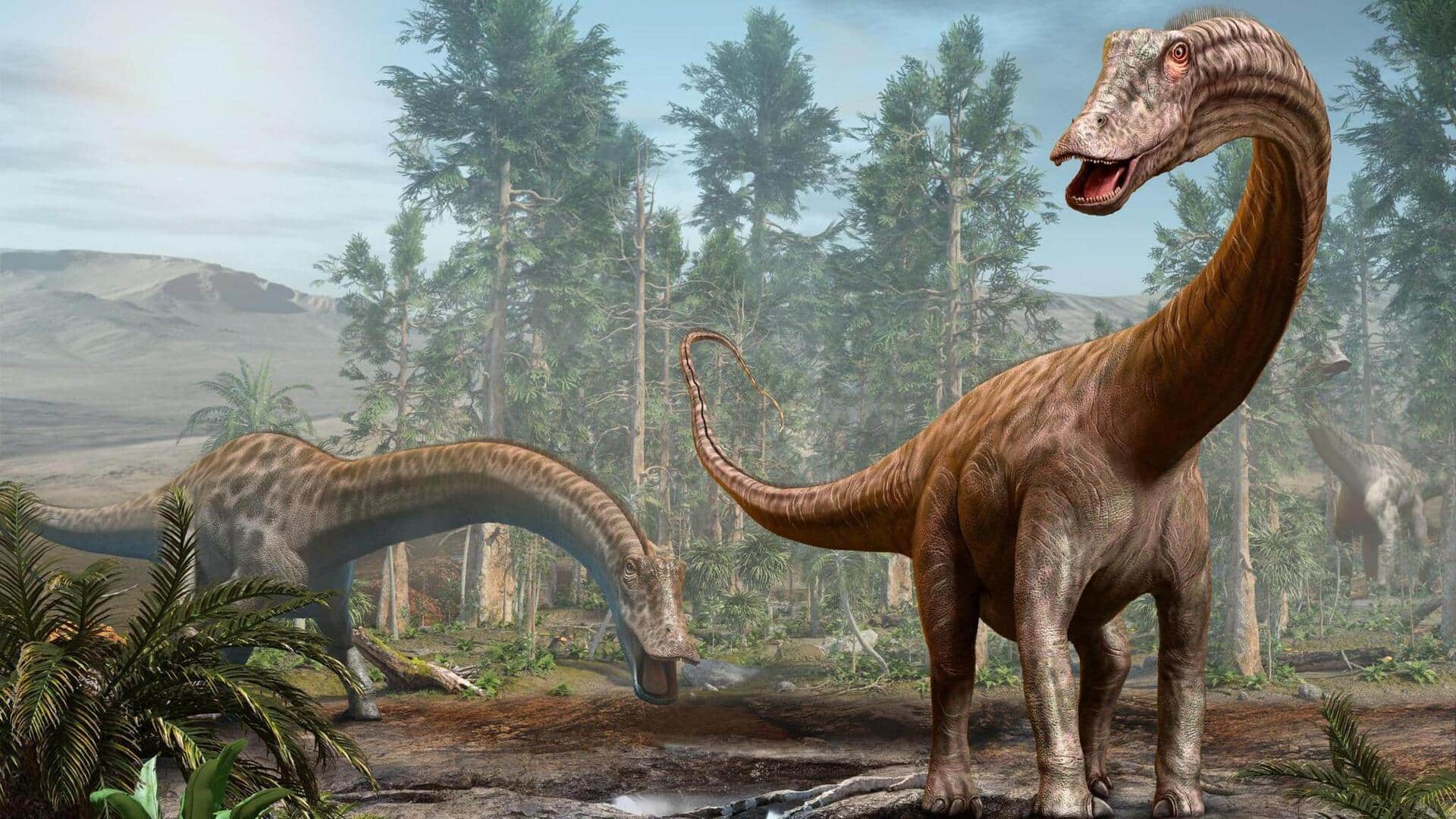 This AI app can identify dinosaur footprints with 90% accuracy