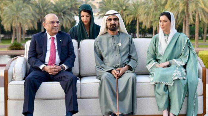 President Zardari meets UAE leadership, discusses trade ties