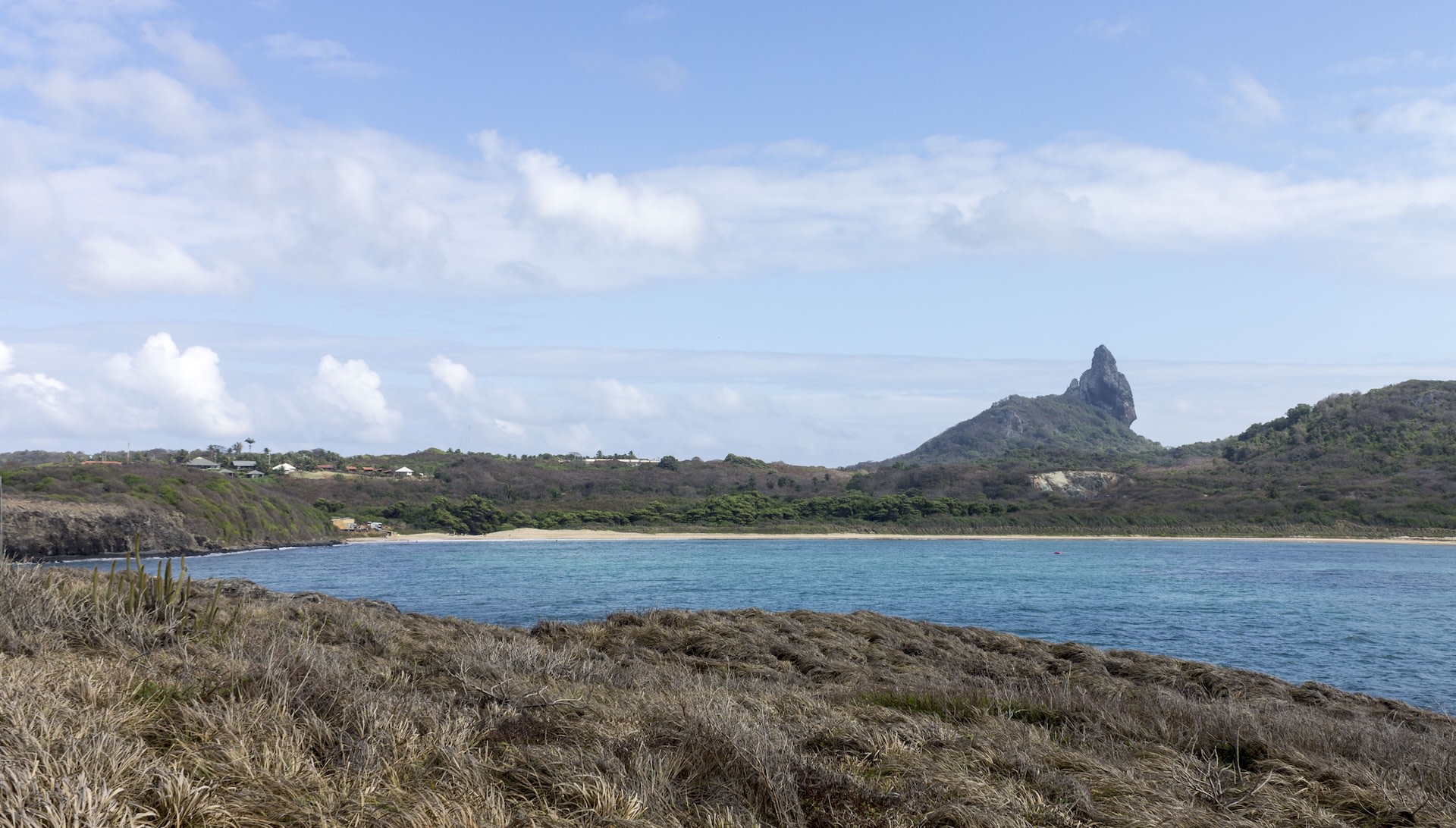 ‘We don’t know if there were fewer … or if they simply disappeared’