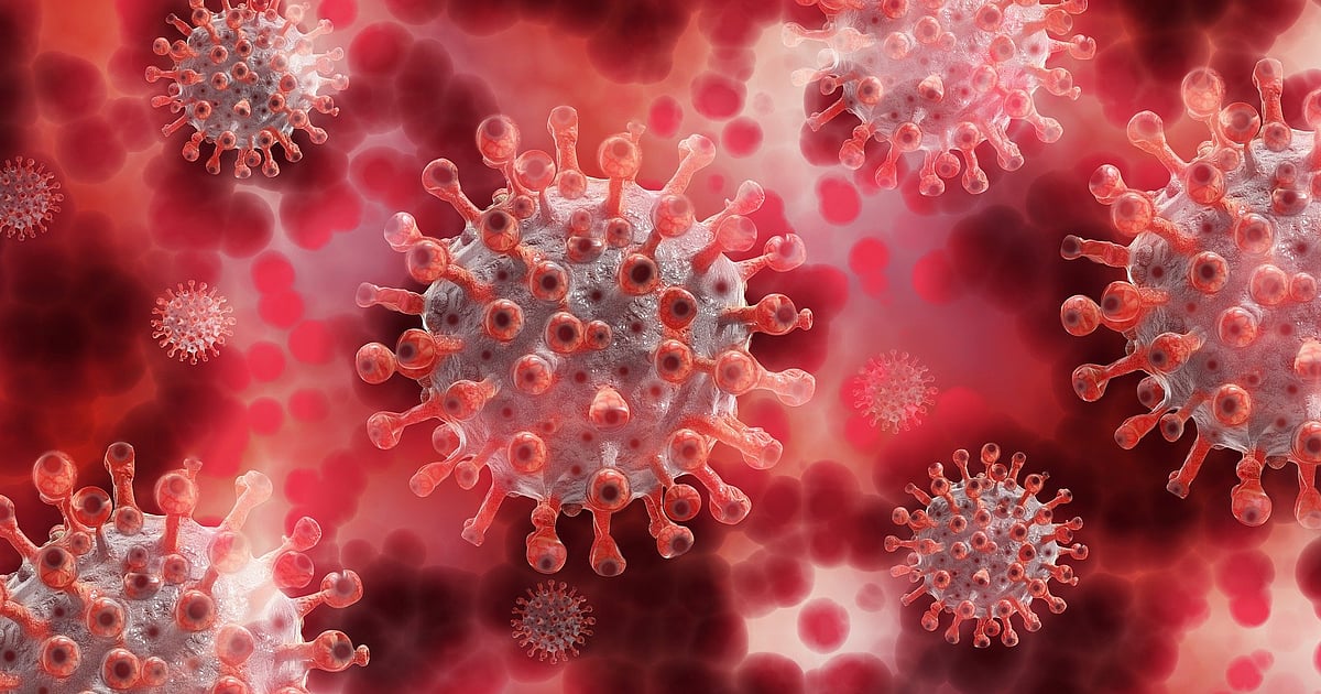 Viral outbreaks are always on the horizon – here are the viruses an infectious disease expert is watching in 2026