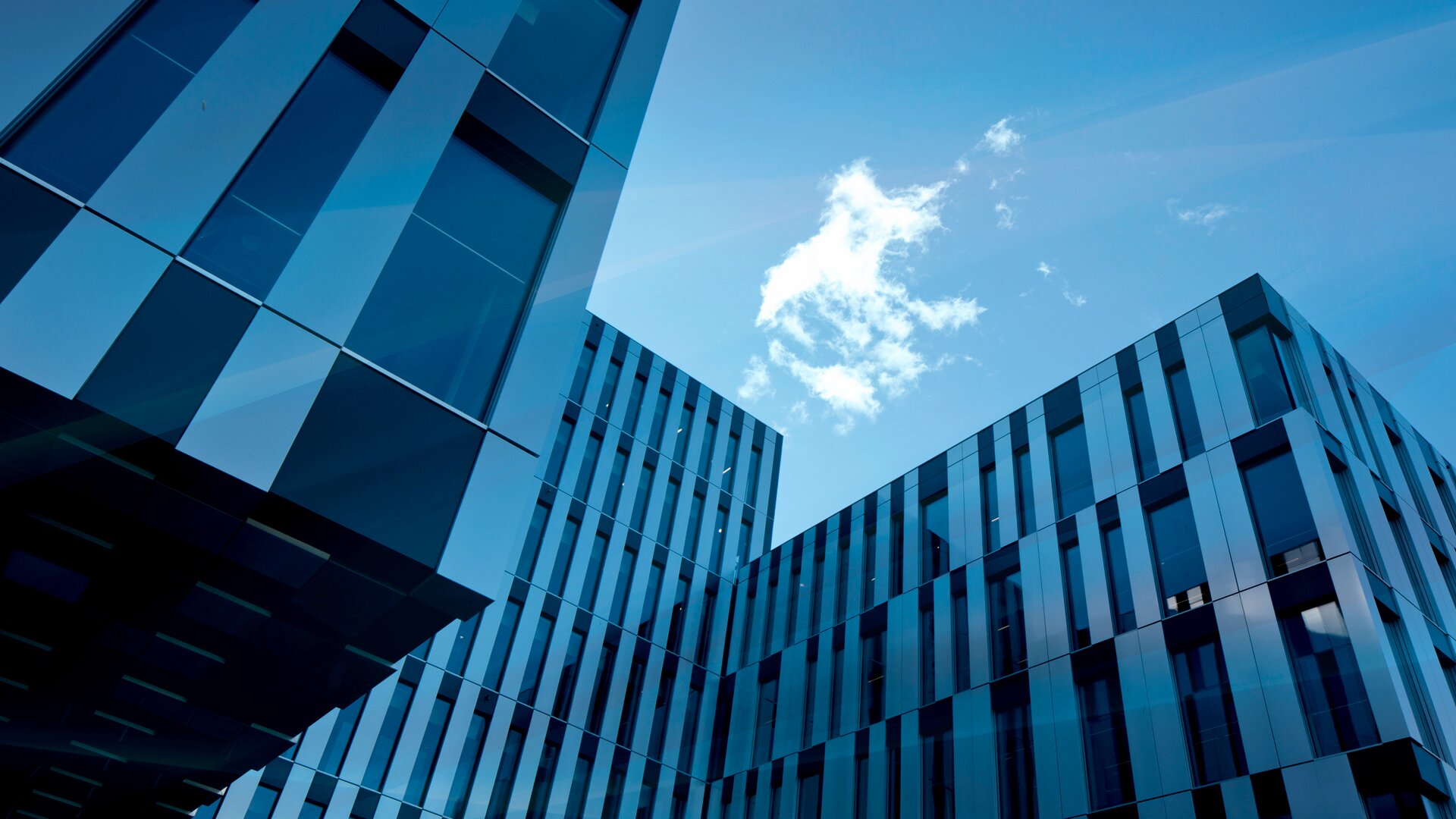 Reporting of transactions made by persons discharging managerial responsibilities