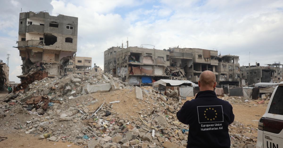 Registration of international NGOs in Palestine: joint statement by High Representative Kallas and Commissioners Lahbib and Šuica