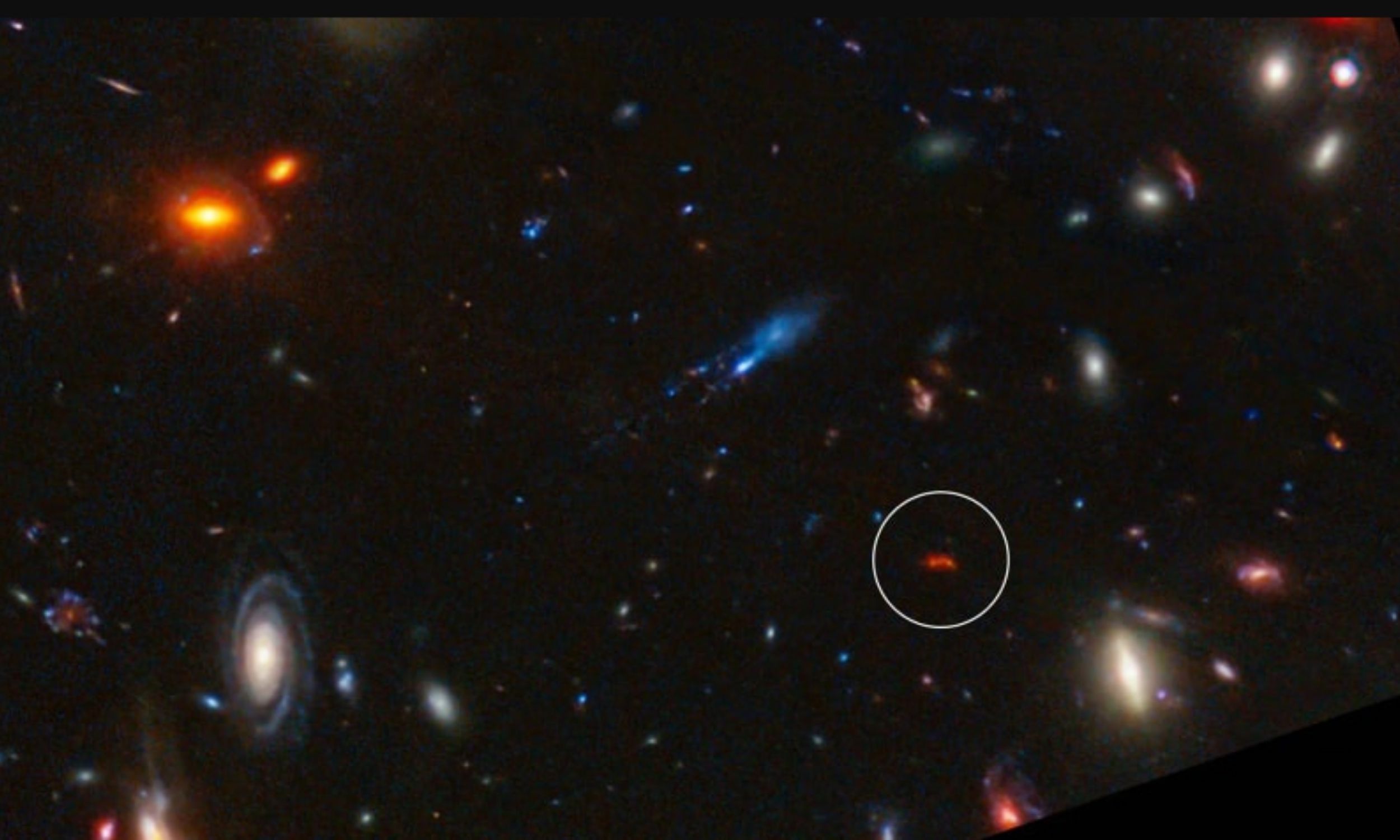 Superheated young galaxy Y1 formed stars at a record pace