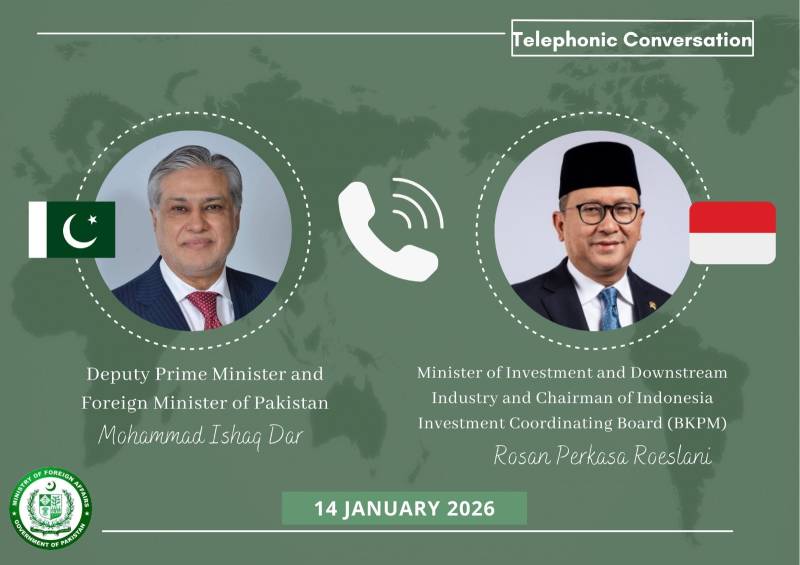 Pakistan, Indonesia discuss strengthening economic, investment ties