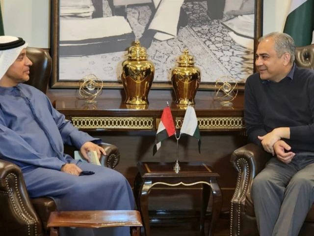 Pakistan, UAE agree on pre-immigration clearance to ease travel