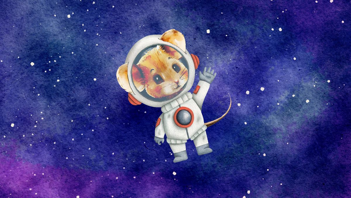 China’s Astronaut Mouse Delivers Nine Pups A Month After Return To Earth