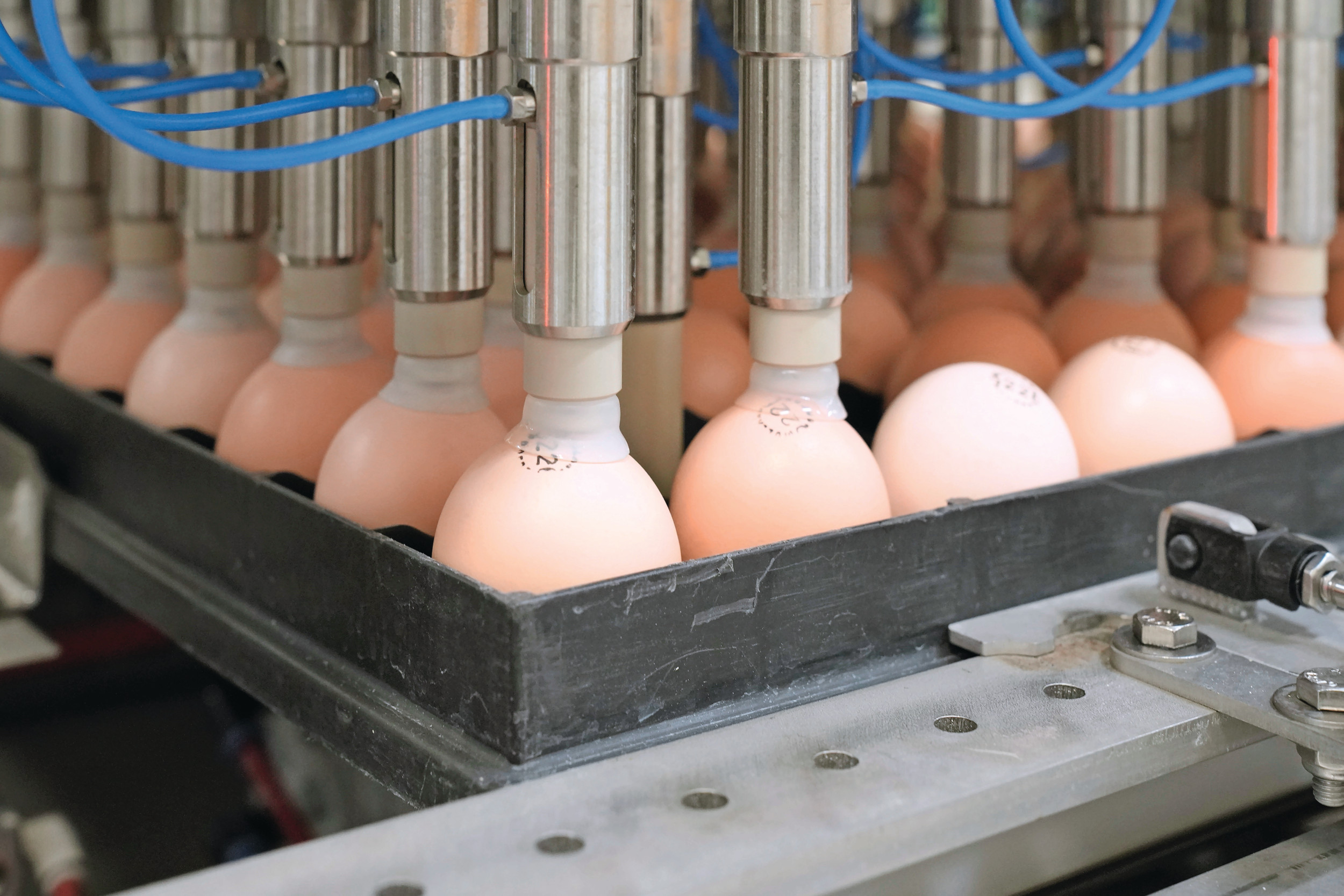 Understanding the role of nanotechnology