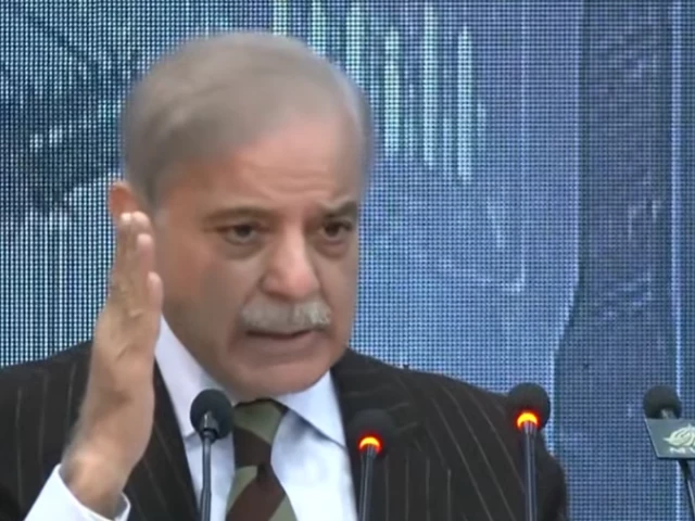 Electricity tariffs for industries cut by Rs 4.04: PM Shehbaz