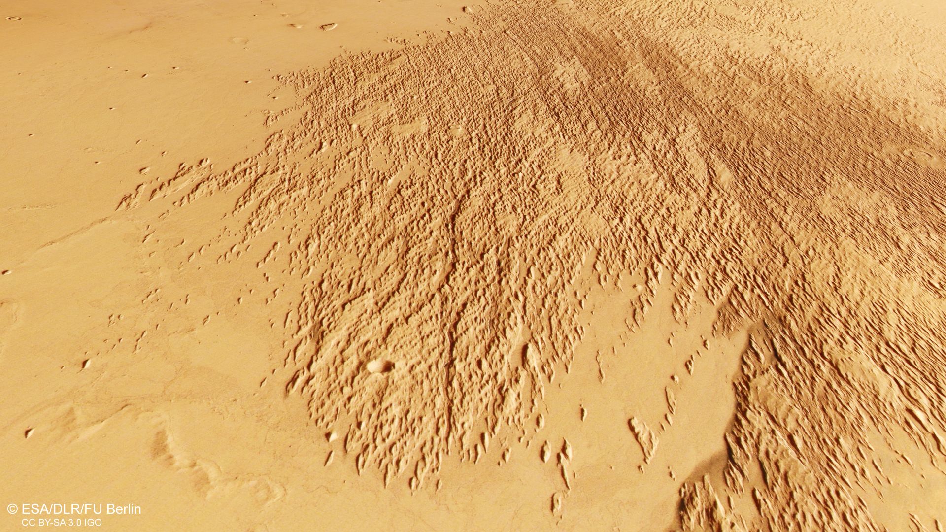 Mars orbiter sees odd etchings in the sand photo of the day for Jan. 20, 2025