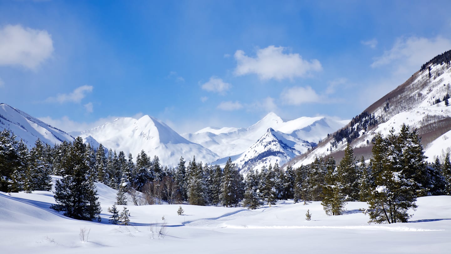 5 Chilling Discoveries Found in the Snow From Around the World