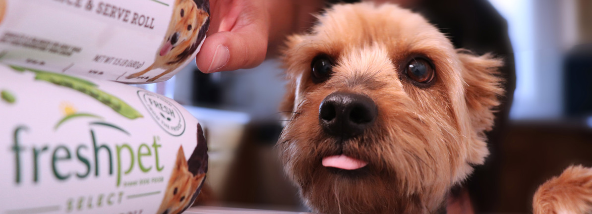 Align Technology Uses Swiss Oral Health Study To Build Long Term Moat