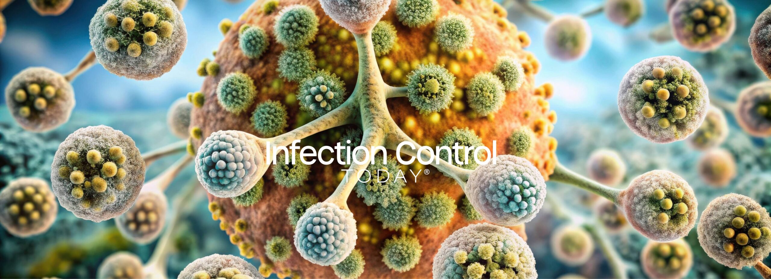 Triazoles vs Liposomal Amphotericin B Show Similar Survival in Invasive Aspergillosis Study