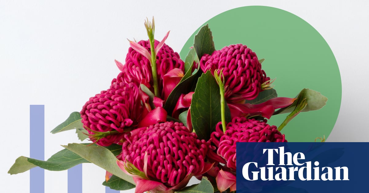 Roses are red, violets are blue: why Valentine’s Day flowers need a redo | Valentine’s Day