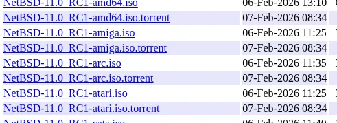 NetBSD 11.0-RC1 Available For Testing With Enhanced Linux Emulation