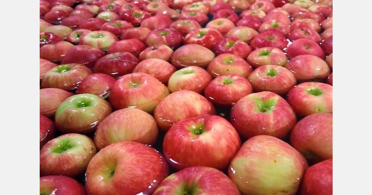 Apple fiber helps fend off colon cancer and more