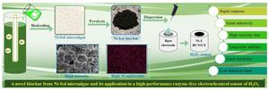 Microalgae-derived biochar enables fast, low-cost detection of hydrogen peroxide