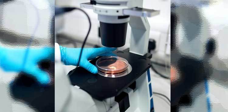 A Speculative Exploration of Peptide-Mediated Regulatory Architecture in Research Contexts