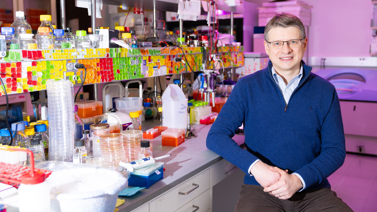 Khalimonchuk continues research into mitochondria’s role in diseases