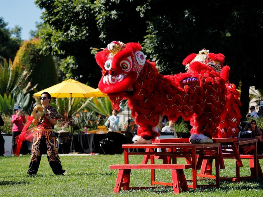 Historic U.S. library rings in Chinese New Year with joy-Xinhua