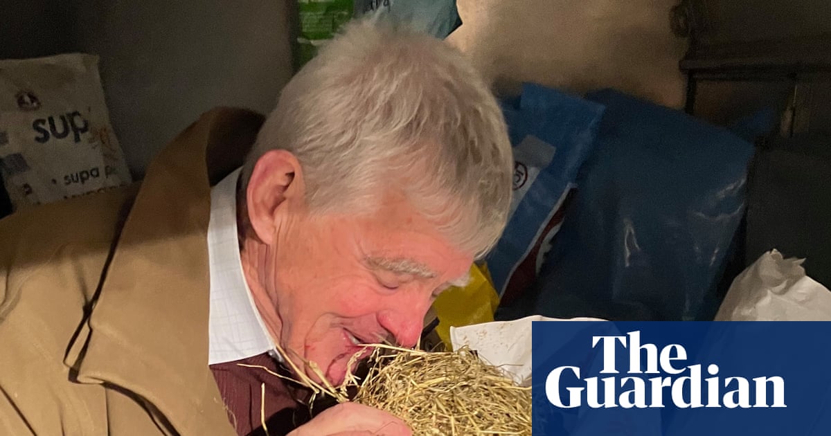 Country diary: Which farm produces the smelliest silage? I went to find out | Farming