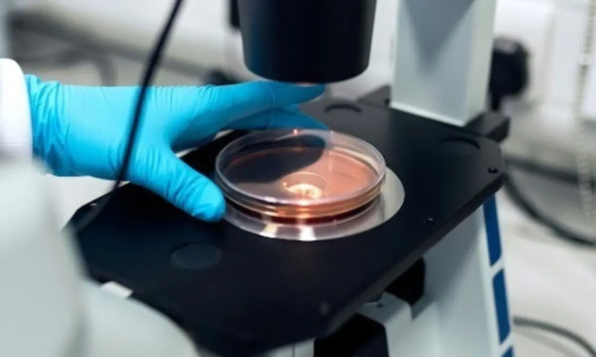 Decapeptide-12 and the architecture of targeted Melanogenesis Modulation research – Branded Content