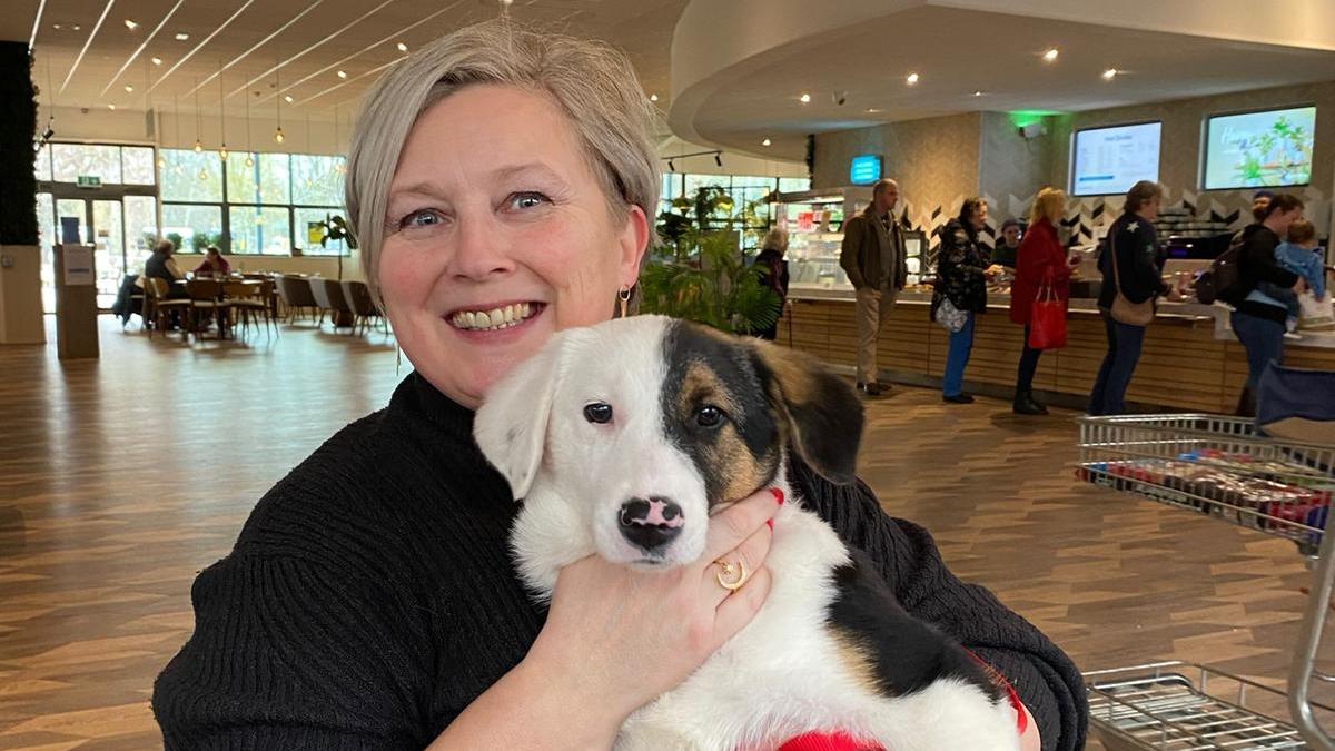 ‘Sandwich generation’ of women risk suicide by suffering in silence – The Times